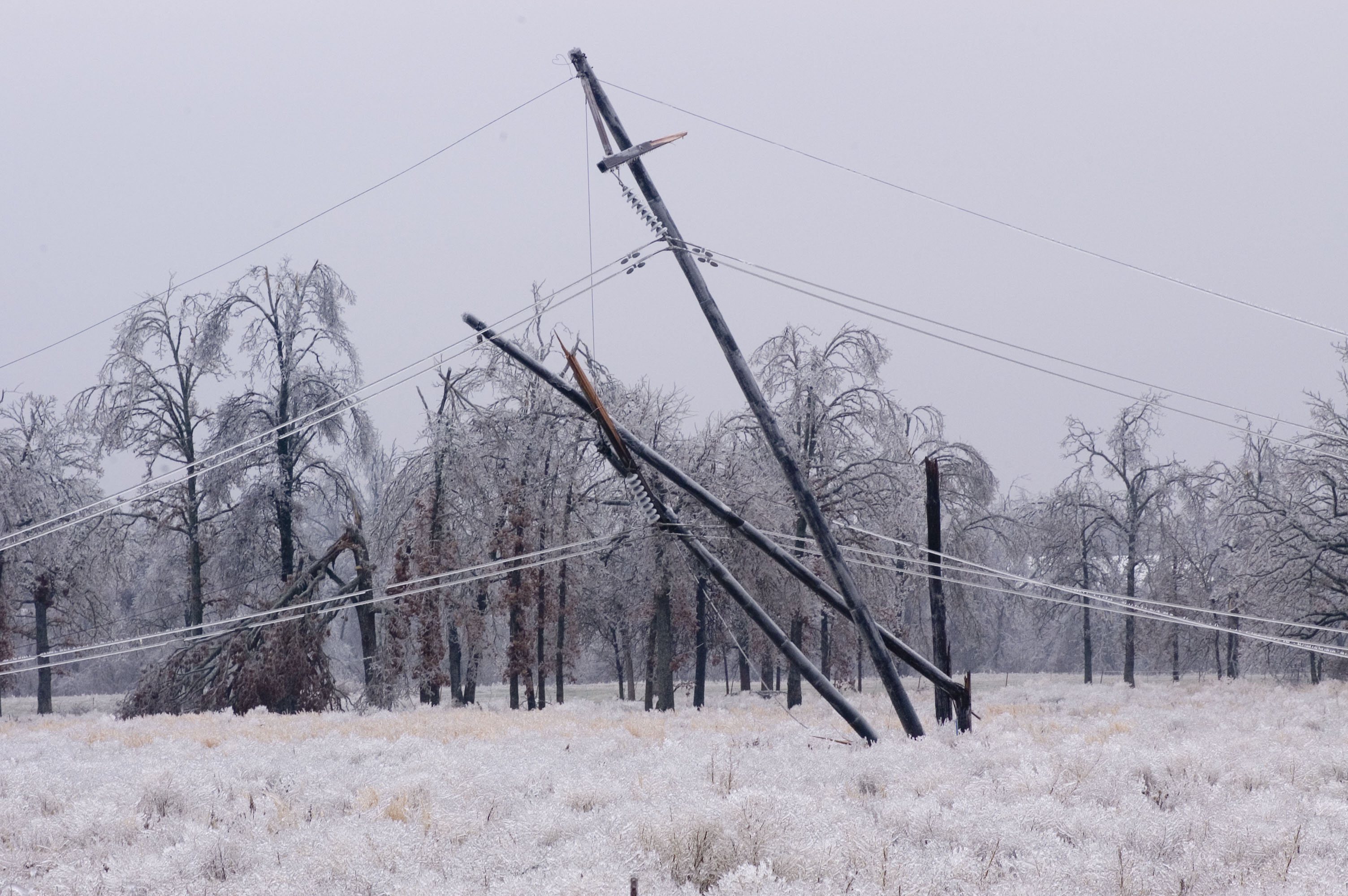 downed power line in winter