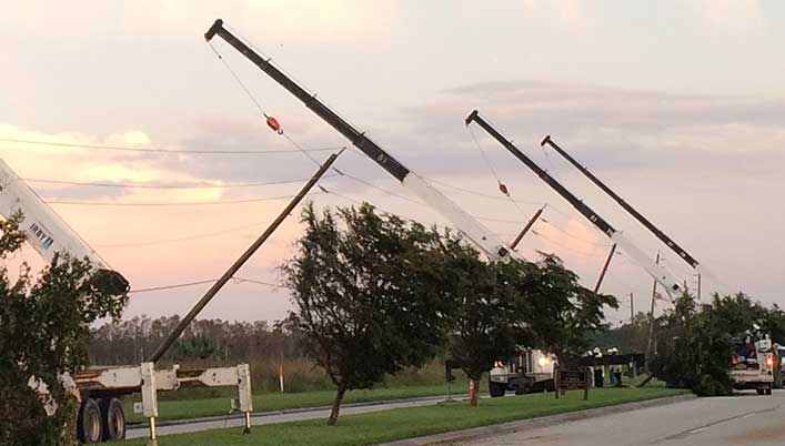 Irma Irma