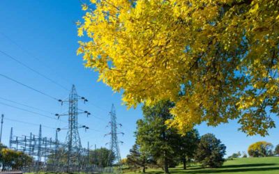 Experts Predict Future Impacts on the Industry at EEI Financial Conference
