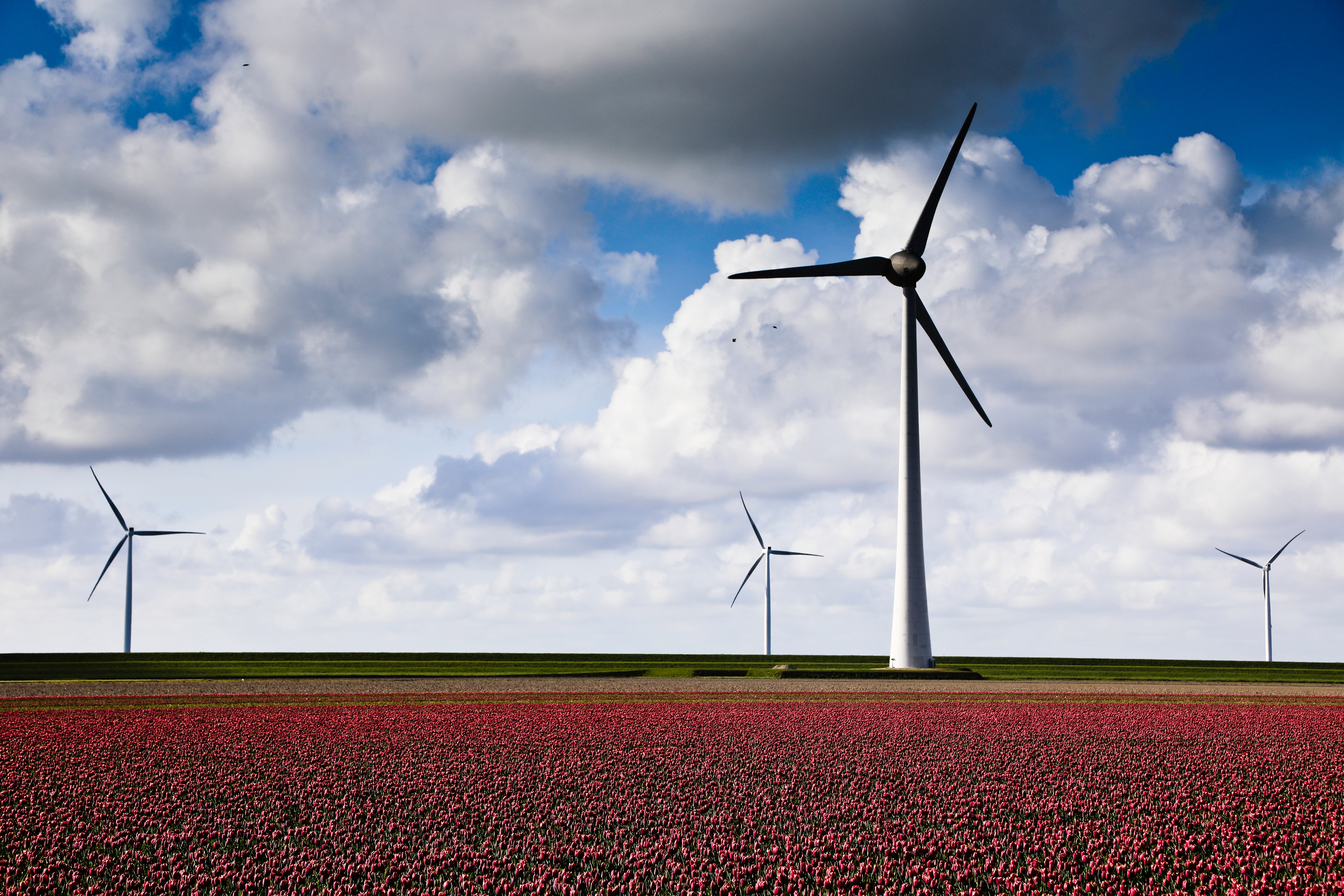 renewable renewable