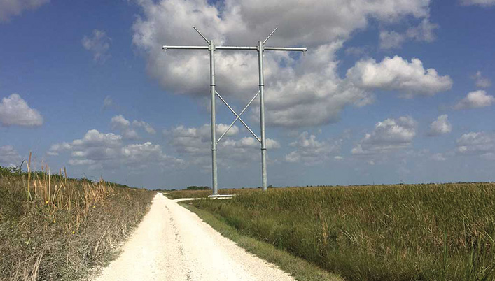 high tension tower in the Everglades