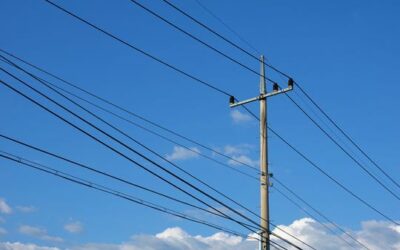 Proposal in Florida Could Facilitate more Underground Projects