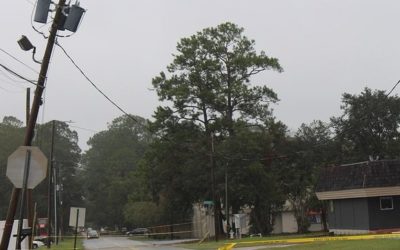 Florida Approves Utility Storm Protection Plans