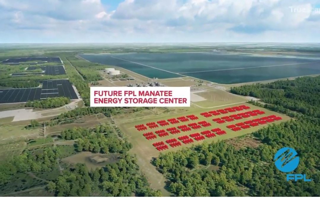 Irby Awarded Manatee Battery Project