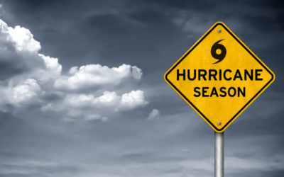 New Lines Withstand Record Breaking Storm
