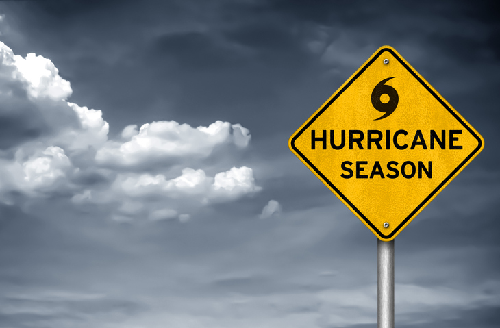 New Lines Withstand Record Breaking Storm