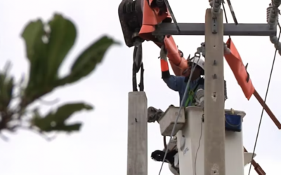 FPL Provides Top-Tier Reliability Amongst Florida Utilities