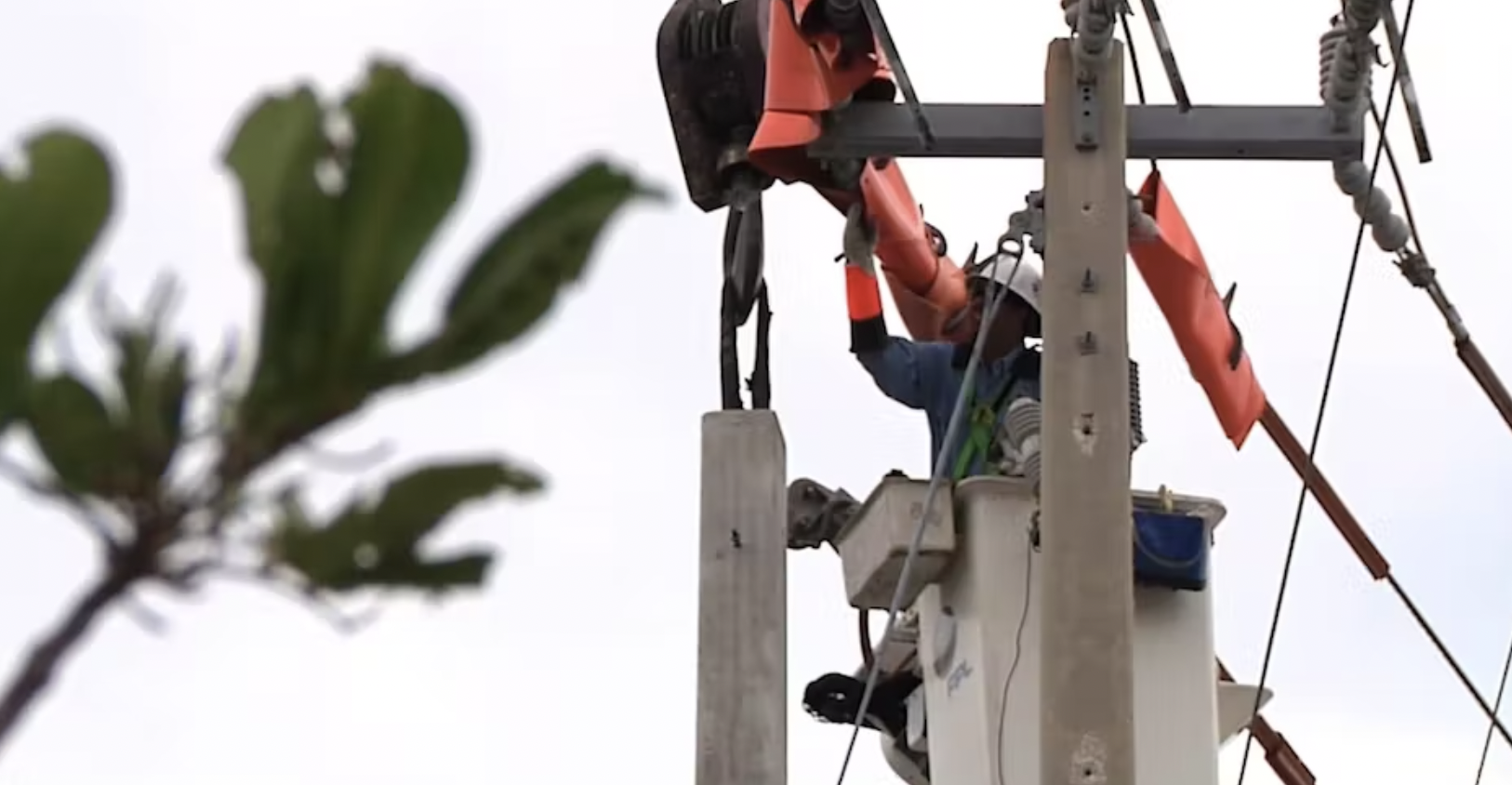 FPL Provides Top-Tier Reliability Amongst Florida Utilities - Irby  Construction Company