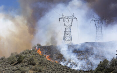 Florida Hardened Its Electric Grid, Is California Next?