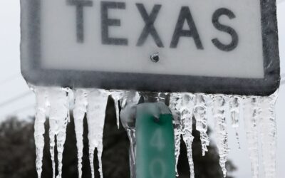 Does the Texas Grid Hold Firm During Season’s First Frigid Temperatures?