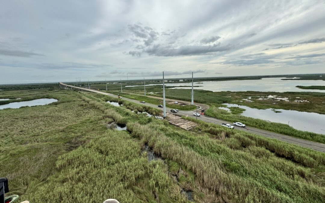 Duke Energy – Mosaic APW AF Line