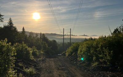 The End of an Era: The New England Clean Energy Connect Project Comes to a Close